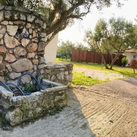 Πετρινη Κατοικια Στην Φυση Villa Tagarádesz Kültér fotó